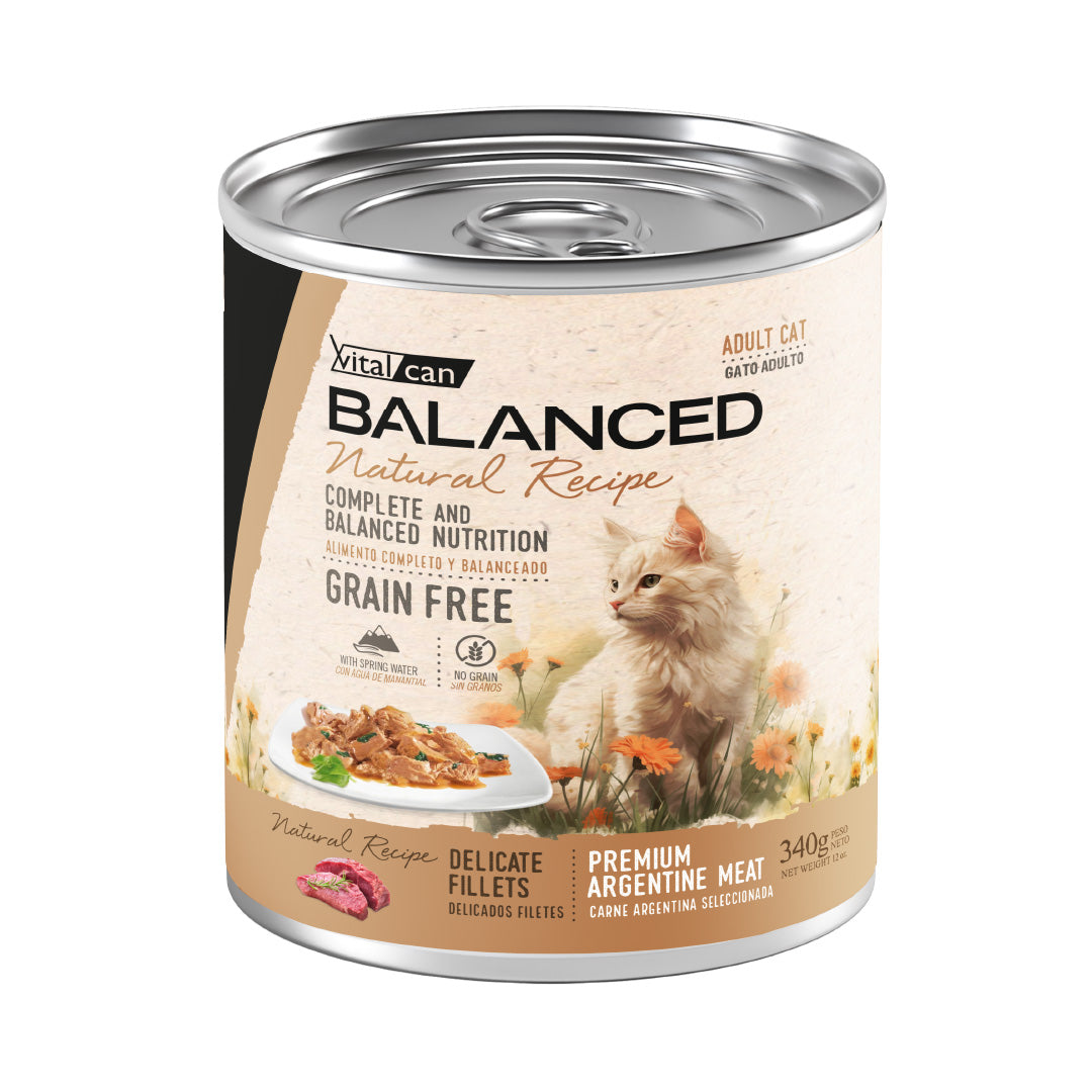 Lata Balanced Gato Adulto Filetes Carne