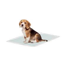 Repuestos Paños Sanitarios Pañopet Compact x 10 unidades