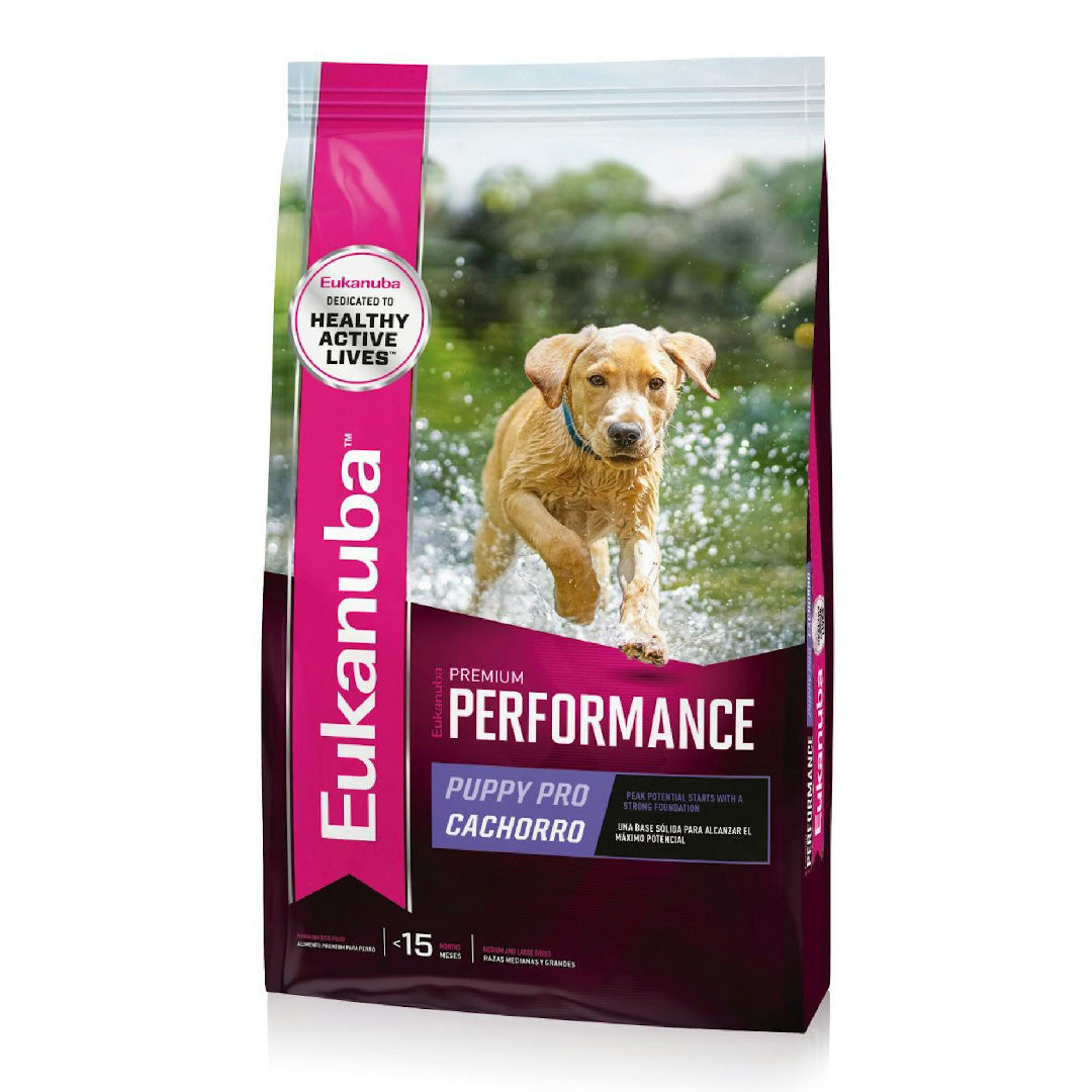 Alimento Eukanuba Perro Cachorro Premium Performance